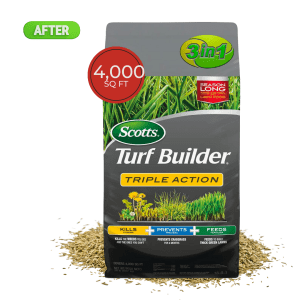 Turf Builder Improve CTR 2