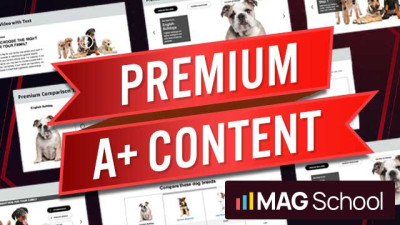 Amazon Premium A+ Content Course