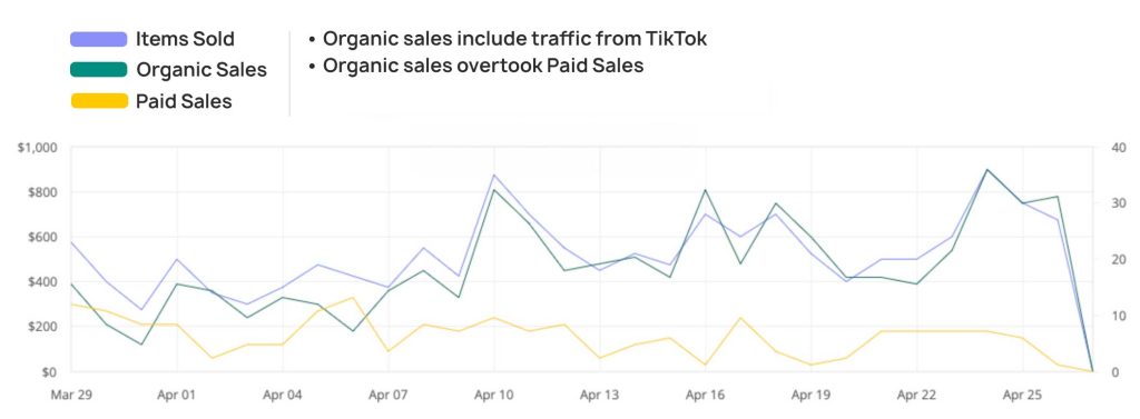 Tiktok Ads Case Study