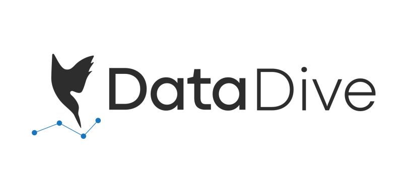 datadivelogo