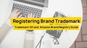 Registering Brand Trademark - Trademark 101 and Amazon Brand Registry Guide