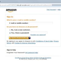 fake-amazon fake-amazon